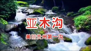 佐迪亚克斯之子