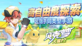 寻找沙漠珍宝