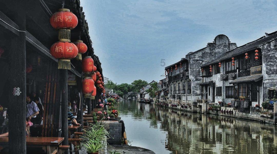 植物大战僵尸4
