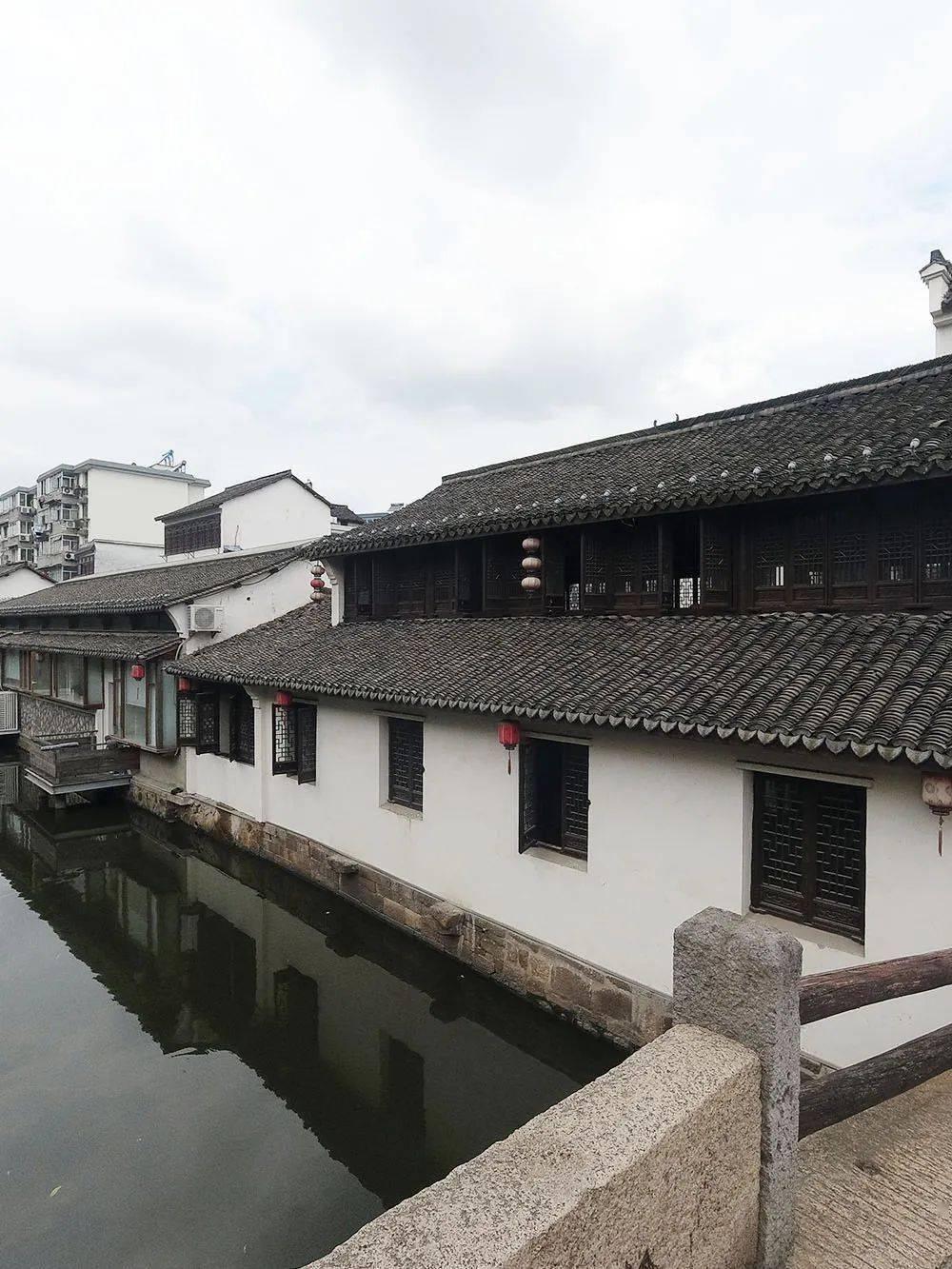 寻找火鸡